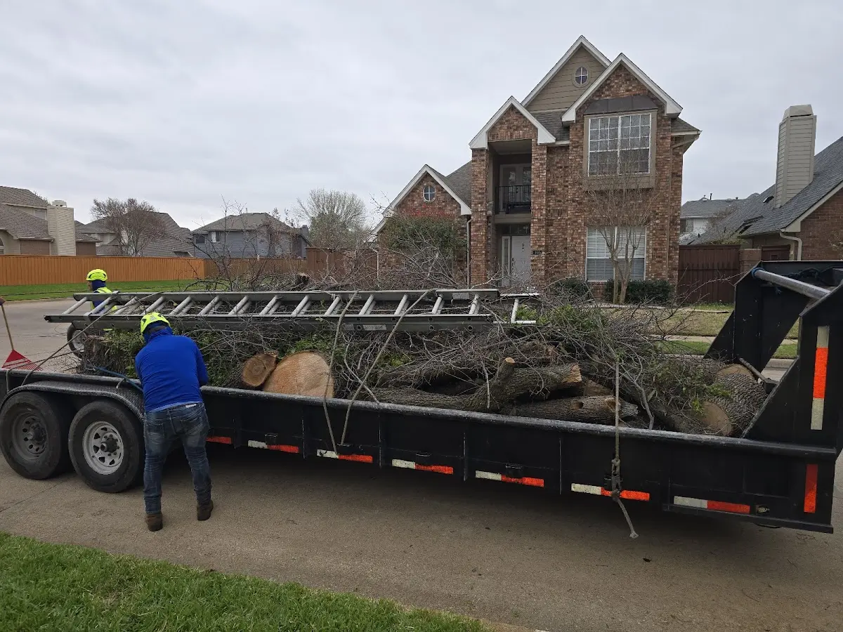 Expert Tree Fertilization with proper safety equipment in Streetman